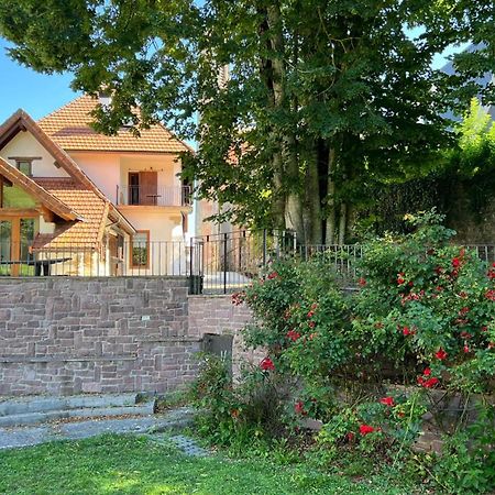 Casa Rural Roncesvalles Espinal-Auzperri エクステリア 写真