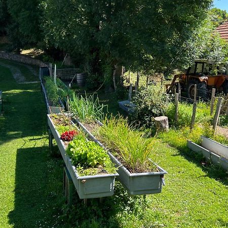 Casa Rural Roncesvalles Espinal-Auzperri エクステリア 写真