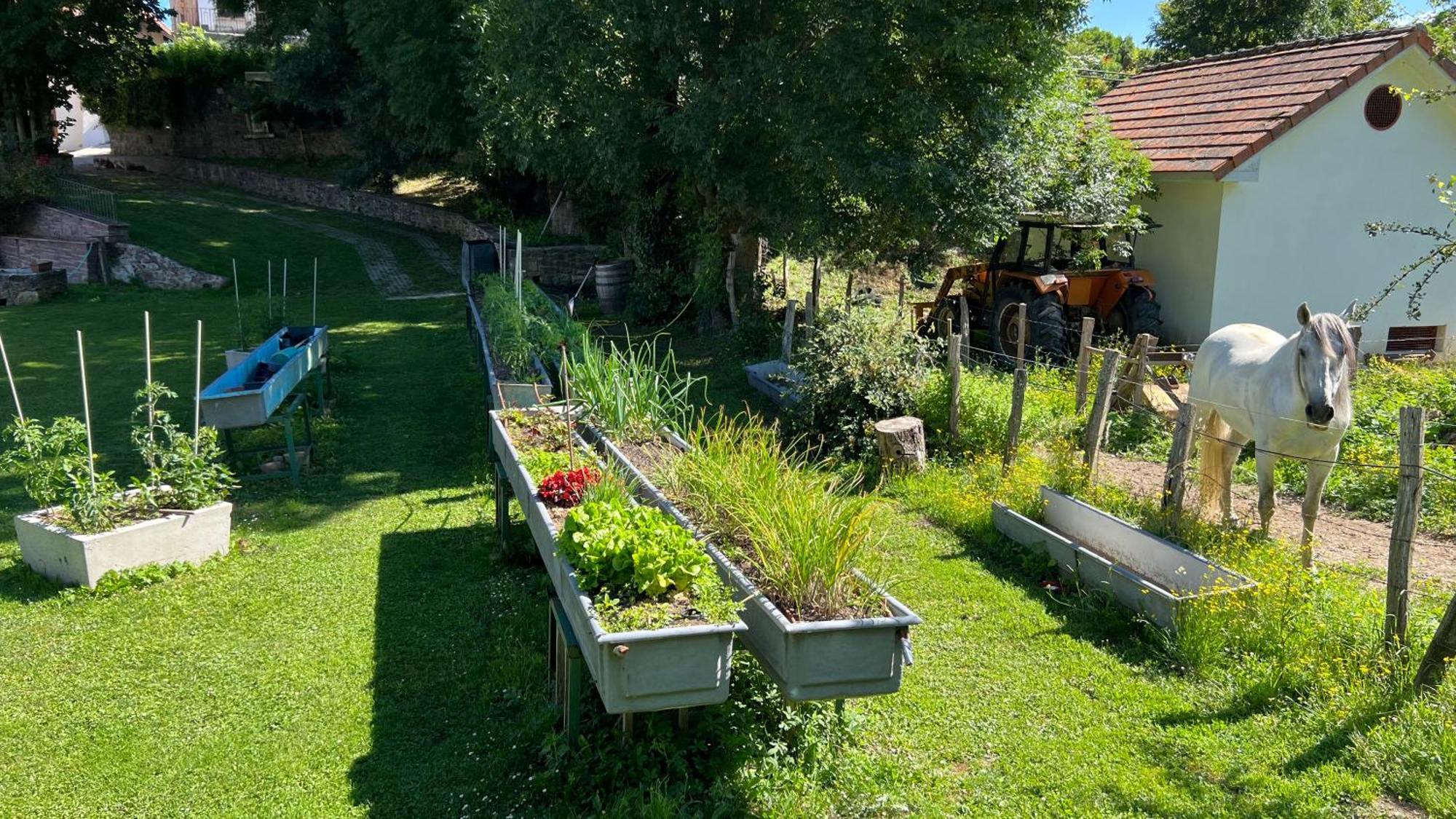 Casa Rural Roncesvalles Espinal-Auzperri エクステリア 写真